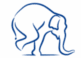 blu elephant in a frog stand pose