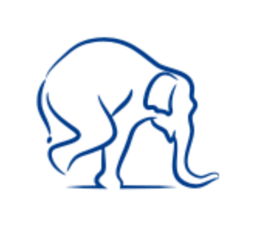 blu elephant in a frog stand pose